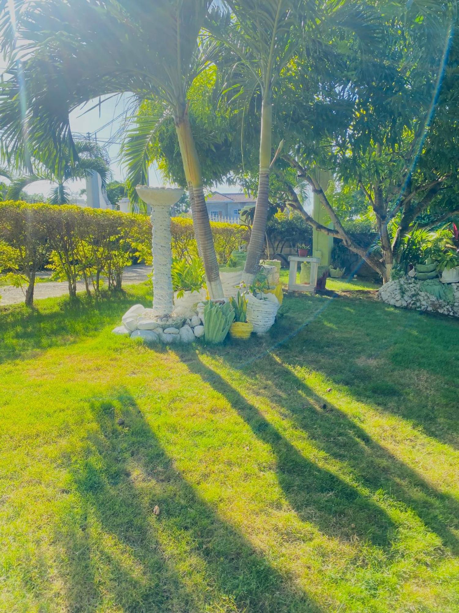 Cindy'S Garden Stay Ocho Rios Ngoại thất bức ảnh